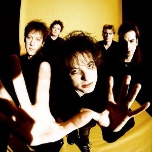 Meet your Posher, Ella